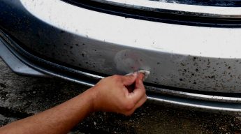 How bugs and tar damage a car